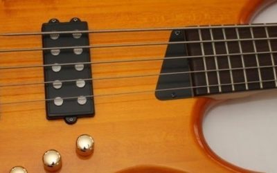 MTD Kingston 5 String Bass Review
