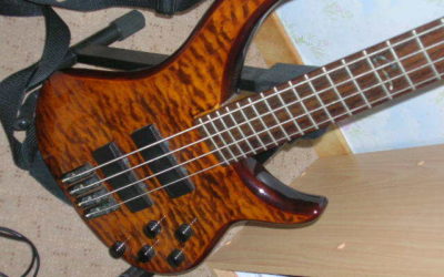 Peavey Cirrus BXP Bass